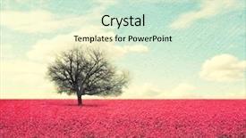  Presentation with field - Colorful slide deck enhanced with crop purple flower - beautiful tree in a red backdrop and a soft green colored foreground