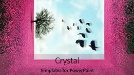  Presentation with birds flying - PPT theme enhanced with crop purple flower - pretty landscape with a pink background and a violet colored foreground