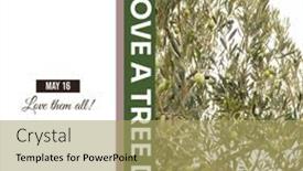  Presentation with plantation - Presentation consisting of cropped-hand-of-caucasian-man background and a yellow colored foreground