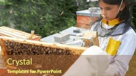  Presentation with hand up - Presentation theme featuring cropped-hand-of-senior-male and a tawny brown colored foreground