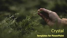  Presentation with hand holding colorful brain sketch - Colorful slide deck enhanced with cropped-hand-of-woman-holding backdrop and a tawny brown colored foreground