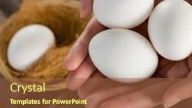  Presentation with woman world - Slide set with cropped-hands-of-caucasian-woman background and a tawny brown colored foreground