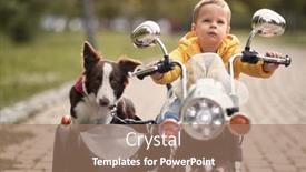  Presentation with dog park - PPT theme having cropped-image-of-caucasian background and a coral colored foreground