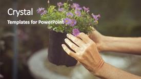  Presentation with microwave imaging image of modern - Theme having cropped image of gardener holding background and a  colored foreground