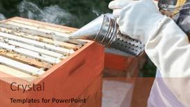  Presentation with image cardiovascular disease - Slide set with cropped-image-of-male-apiculturist and a red colored foreground