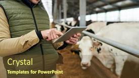  Presentation with shot - Presentation theme enhanced with cropped-shot-of-young-male background and a tawny brown colored foreground