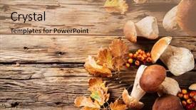  Presentation with harvest - PPT theme featuring crops mushrooms - ceps on wooden table autumn background and a coral colored foreground