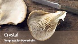  Presentation with oyster - PPT layouts with crops mushrooms - oyster mushroom on wooden table background and a violet colored foreground