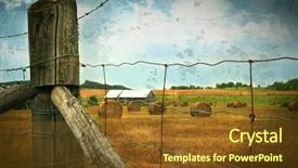  Presentation with hay field - Theme consisting of crops plants - field of freshly cut bales background and a tawny brown colored foreground