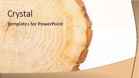  Presentation with cut - Presentation theme enhanced with cross section - close-up wooden cut texture background background and a lemonade colored foreground