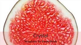  Presentation with fruit fig - PPT theme having cross-section of fig tree background and a red colored foreground