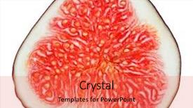 Presentation with fruit fig - PPT layouts consisting of cross-section of fig tree background and a coral colored foreground