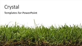  Presentation with cross - Presentation with cross-section of grass sod background and a white colored foreground