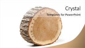  Presentation with gearbox cross section engine industry - Theme having cross section of tree trunk background and a white colored foreground