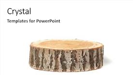  Presentation with cross - Colorful slide deck enhanced with cross section of tree trunk backdrop and a white colored foreground