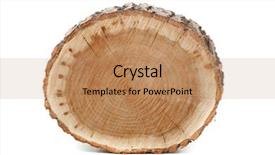  Presentation with cross - Cool new presentation theme with cross section of tree trunk backdrop and a coral colored foreground