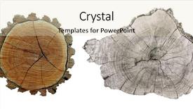  Presentation with pedestrian safety in cross section - Beautiful theme featuring cross section of tree trunk backdrop and a soft green colored foreground