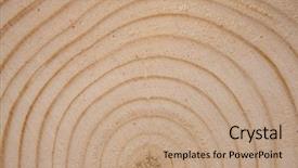  Presentation with tree rings - Colorful presentation enhanced with trunk cross-section with annual backdrop and a coral colored foreground
