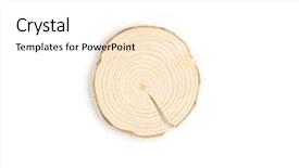  Presentation with tree rings section - Theme with tree cross-section with annual background and a white colored foreground