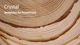  Presentation with tree rings - PPT theme featuring cross-sections with annual rings background and a coral colored foreground