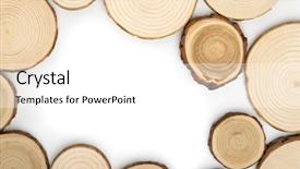  Presentation with tree rings - Presentation design consisting of tree cross-sections with annual background and a  colored foreground