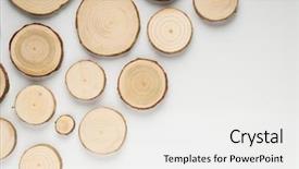  Presentation with tree rings - Colorful presentation design enhanced with cross-sections with annual rings backdrop and a  colored foreground