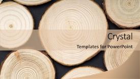  Presentation with tree rings - Presentation design featuring cross-sections with annual rings background and a  colored foreground