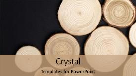  Presentation with tree rings - Beautiful theme featuring tree cross-sections with annual backdrop and a coral colored foreground