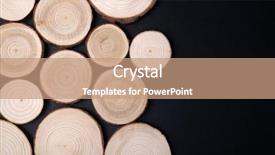  Presentation with tree rings - Theme having tree cross-sections with annual background and a black colored foreground