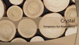  Presentation with tree rings - Amazing slide deck having tree cross-sections with annual backdrop and a coral colored foreground