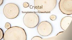  Presentation with tree rings - Colorful PPT layouts enhanced with tree cross-sections with annual backdrop and a lemonade colored foreground