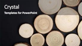 Presentation with tree rings - PPT layouts having tree cross-sections with annual background and a black colored foreground