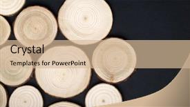  Presentation with tree rings - PPT theme featuring tree cross-sections with annual background and a lemonade colored foreground