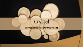  Presentation with tree rings - Cool new PPT layouts with tree cross-sections with annual backdrop and a coral colored foreground