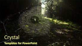  Presentation with spider web - Slide set with cross-spider-in-a-spider background and a wine colored foreground