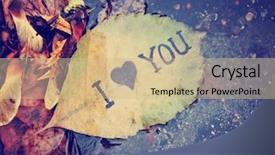  Presentation with gutter - Amazing presentation having cross water drops - wet leaf in a gutter backdrop and a soft green colored foreground