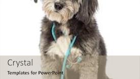  Presentation with medical evaluation of 5 years old boy - Slide deck having crossbreed 4 years old sitting and wearing a blue stethoscope around the neck in front of white background background and a coral colored foreground