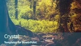  Presentation with moss - Presentation design having crossing creek - forest waterfall and rocks covered background and a  colored foreground