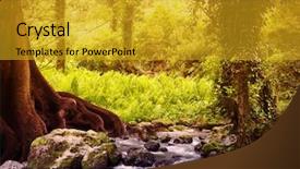  Presentation with tree spring flowers apple flowers - PPT layouts enhanced with crossing creek - mixed tree forest in spring background and a  colored foreground