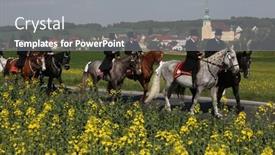  Presentation with equestrian - 