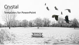  Presentation with birds flying - PPT theme having crow - scenic cold winter landscape background and a white colored foreground