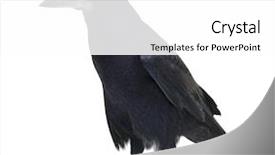  Presentation with rook - Theme with purple domestic violence awareness background and a lemonade colored foreground.