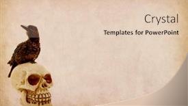  Presentation with crow - Slide set with crow-bird-on-the-human background and a lemonade colored foreground