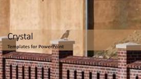 Presentation with crow - Presentation theme with crow-sitting-on-ancient-walls background and a coral colored foreground