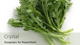  Presentation with white green - Slides with crown-daisy-chop-suey-green background and a mint green colored foreground