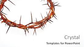  Presentation with crown thorns - Slides featuring crown-made-of-thorns-isolated background and a white colored foreground