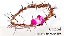  Presentation with thorns - Beautiful PPT layouts featuring crown made of thorns and flower isolated on white background backdrop and a sky blue colored foreground