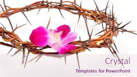  Presentation with thorns - Theme with crown made of thorns and flower isolated on white background background and a lemonade colored foreground