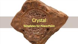  Presentation with insect - PPT theme enhanced with crown stick insect's egg background and a tawny brown colored foreground