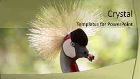  Presentation with crane - Cool new slides with crowned crane backdrop and a yellow colored foreground
